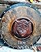 Handmade Viking Wolf Shield – Wooden Round Shield with Metal Rim, Norse Knotwork & Carved Fenrir Design for LARP, Cosplay & Wall Décor | Troy Artefacts® (36 Inches)
