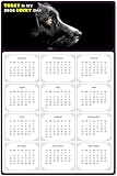2026 Magnetic Calendar - Calendar Magnets - Today is my Lucky Day - (Fade, Tear, and Water Resistant) - Dogs Themed 05 (5.25 x 8)