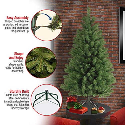 National Tree Company 4 ft Unlit North Valley Spruce Mini Artificial Christmas Tree, 307 Tips, Includes Stand, Green by National Tree Company - Image 4