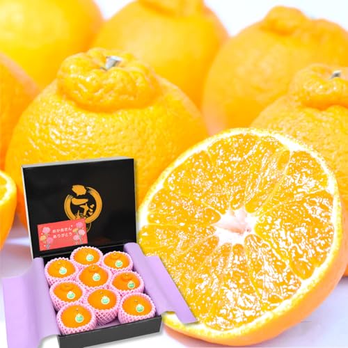 �y ��̓��J�[�h�t �z ���x13�x�ȏ� �f�R�|�� �{�� �F�{���Y 9�� ���x�Z���T�[�F�؍� �ł��ۂ� �s�m�� ���k ��̓��M�t�g ��̓��t���[�c ���ƒ�p �����p �� ������
