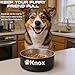 Personalized Dog Bowl for small medium and large dogs, Polar Camel Stainless Steel custom dog bowls with name, engraved personalized dog bowls with name, personalized gift for pets and furry friends