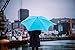 Blunt Classic Umbrella,(Aqua Blue),One-size