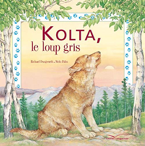 Kolta, le loup gris