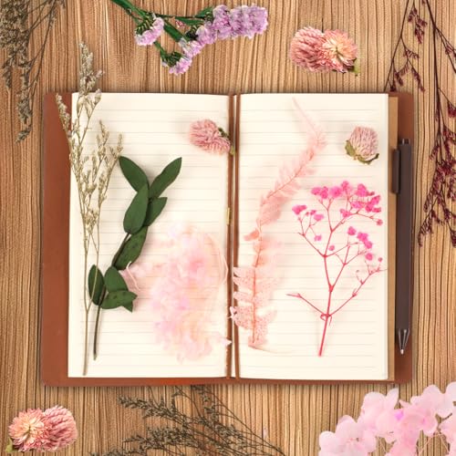 AMFUN Natürliche getrocknte Blumen, Trockenblumen Zum Basteln, Getrocknete Blumen, Trockenblumen für Kunst DIY Harz Scrapbooking Handwerk Karten Machen