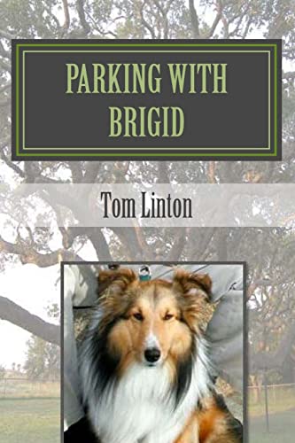 PARKING WITH BRIGID: Texas' State Parks Built by the Civilian Conservation Corps