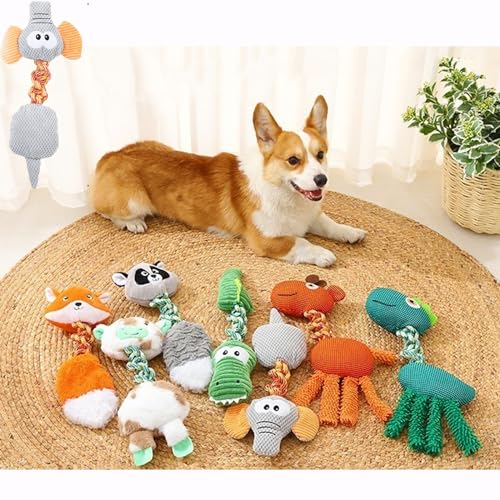 AmoSogno  ߋ ̂ ̊ߋ mߋ ̂lCLO     ʂ ]Ě`