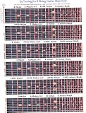 E9 Tuning Slide Rule 8 String