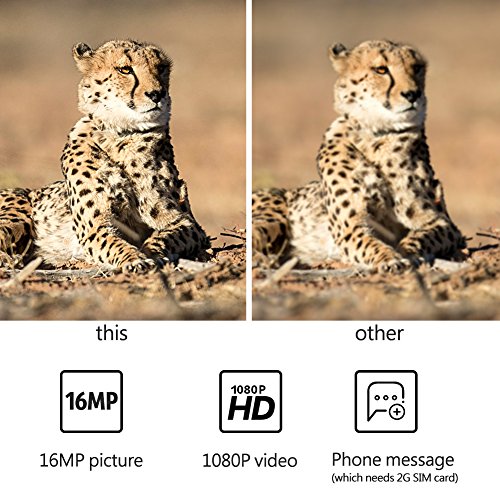 Câmera de vida selvagem, câmera de trilha à prova d'água com visão noturna função de mensagem de te