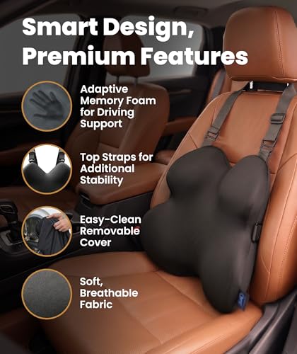 Image of Everlasting Comfort Lumbar Support Pillow for Office Chair - Improves Posture, Promotes Back Pain Relief - Superior Back Support for Gaming and Desk Chairs - Lumbar Pillow for Car, Couch