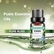 Ätherische Öle für Diffusoren für zu Hause,8x10 ml Aromatherapie-Ölset – Teebaum, Minze, Jasmin, Vanille, Zitrone, Rose, Orange und Lavendel