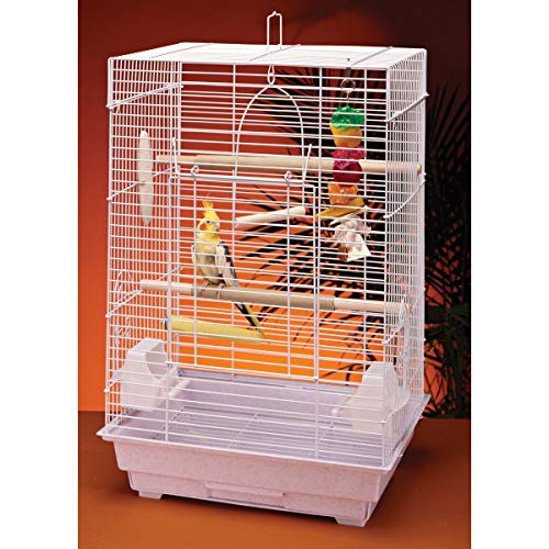 Penn Plax Cockatiel Bird Cage Starter Kit, 27 inch Cage with Kabob Toy