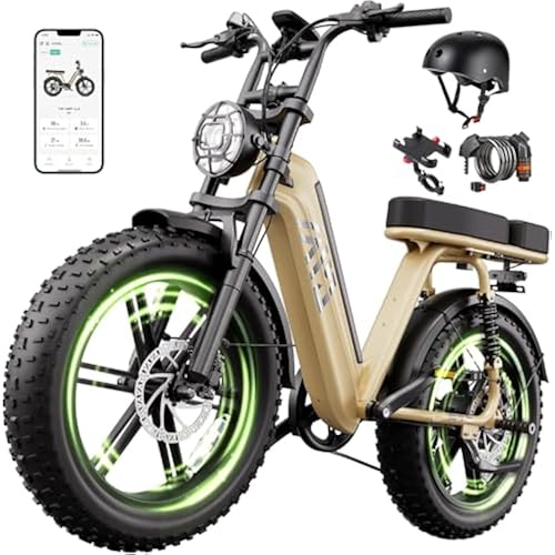 TST Electric Bike - 48V 15Ah Battery, 1500W Peak Motor, 20 * 4.0 Fat Tire