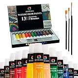 AEM Hi Arts Watercolor Paint Artist Set 13 Tube Art Kit Includes Colorful Water Color Paints and Watercolor Brushes - Portable, Small and Washable, Great for Kids and Professional Artists