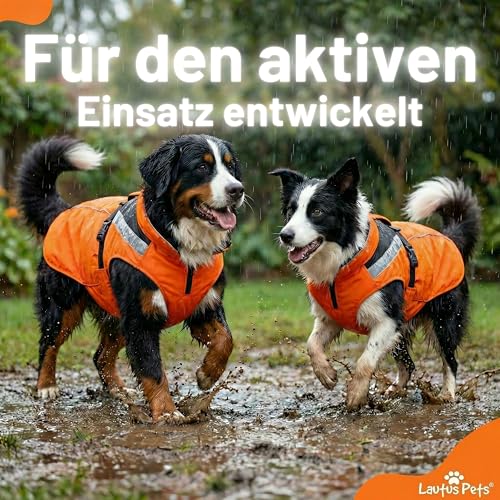 Lautus Pets Wasserdichter Hunderegenmantel, reflektierenden Sicherheitsstreifen & Leinenöffnung – Leichte, Jacke für mittelgroße Hunde - M, Orange