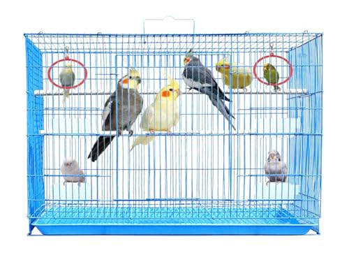 JAINSONS PET PRODUCTS Jainsons 2.5 Feet Bird Cage for Small Birds Blue - Image 2