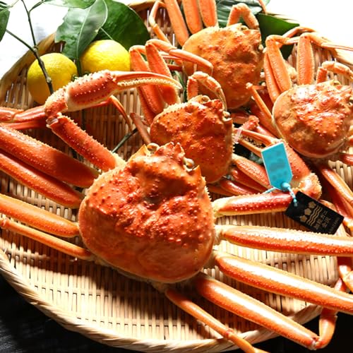 {̃XI ΐ쌧 \o  {킢 \KjiYj1t × Kjij3t v4t p {C Y XI H  Zbg 䥂ŏグ ς \I I  Jj  ؊I ΐ쌧  \o YCKj