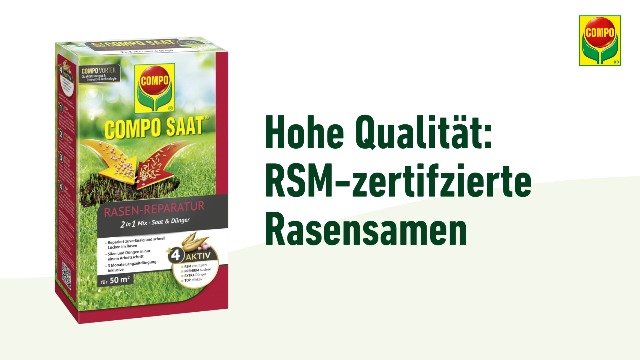 Compo Saat Rasen-Reparatur-Mix