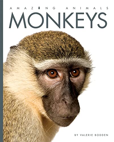 Amazing Animals: Monkeys