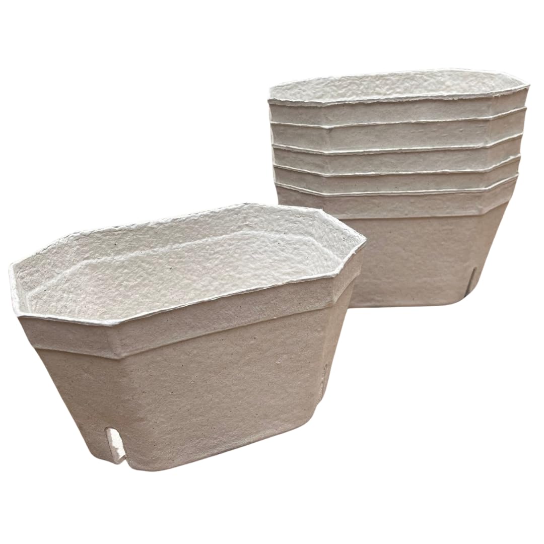 Nutley's Large Biodegradable Fibre Fruit Punnets, 1000g - Large Capacity, Eco-Friendly & Durable for Transport, Storage, Retail & Household Use, Compostable (25)