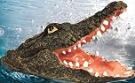 Best Value Here Floating Crocodile Head Pool Accessories Water Feature outdoor animal statue Sculpture Home Décor Figures Alligator Heads Garden Ponds Ornament (Floating Croc)