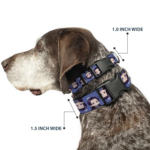 Collier chien Jinshi Crunchyroll pour balades et parcs animés - 3