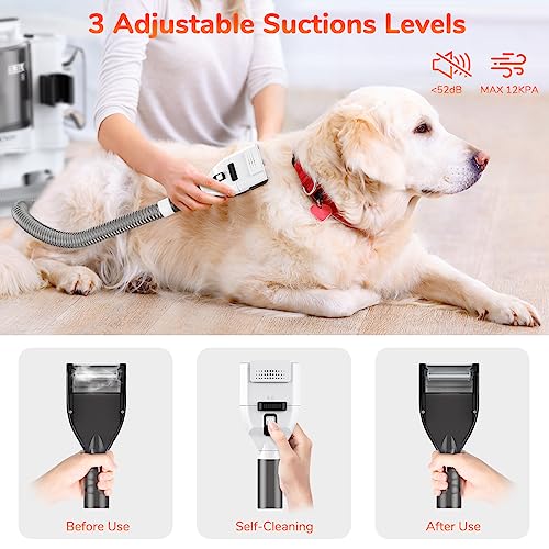 KACNON Hundeschermaschine mit Staubsauger (3.3L,13kPa) - All in one Haustierpflegeset - Leise Schermaschine Hund Katze - Tierhaarstaubsauger Elektrische Haustierbürste