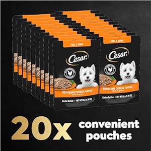   Cesar-Filets-in-Gravy-Wet-Dog-Food-Rotisserie-Chicken-Flavor-176-oz-Mini-Pouch-20-Pack