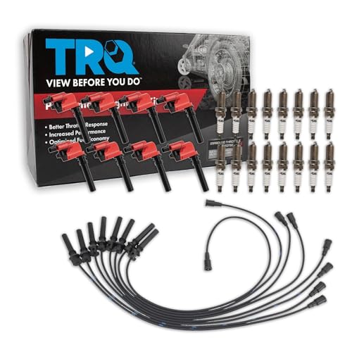 TRQ Ignition Coil and Spark Plug Kit 25 Piece Iridium Spark Plugs Compatible with 2005 Chrysler 300 2005 Dodge Magnum 2005 Jeep Grand Cherokee
