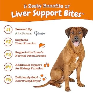 Zesty Paws Liver Support Supplement for Dogs - with Milk Thistle Extract, Turmeric Curcumin, Choline - Soft Chew Formula - for Dog Liver Function Zesty Paws Liver Support Supplement for Dogs – with Milk Thistle Extract, Turmeric Curcumin, Choline – Soft Chew Formula – for Dog Liver Function