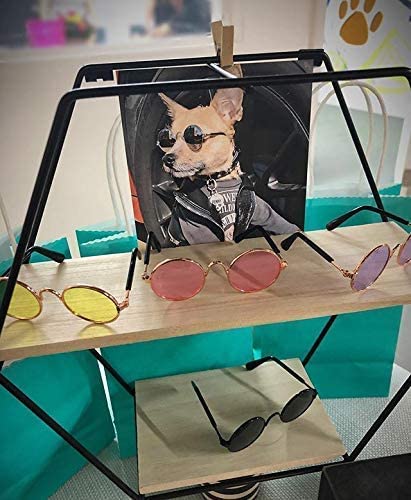 Pets Can See Colors Round Pet Sunglasses Small Dogs Cats Retro Party Favors Set Cute Funny Cosplay Toys Costume Photos… - Image 4