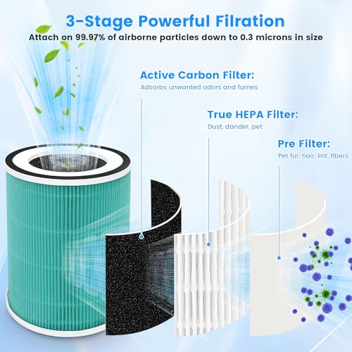 Image of 2 Pack True HEPA Kilo Filter Replacement for Afloia Kilo, KILOPLUS, KILOPRO, MIRO, MIRO PRO and MORENTO MR-Kilo, Kalo, H13 True HEPA Filter, 360 3-Stage Filtration, Green
