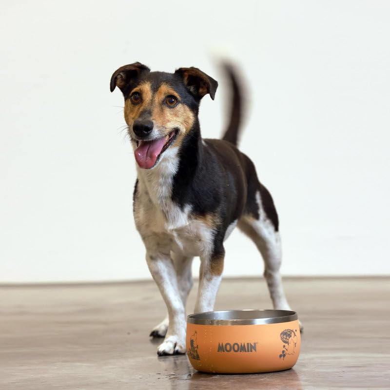 Soho Poms Moomins Dog Bowl | Peach Lunar 1L Stainless Steel Dog Bowls for Food or Water, Metal Anti Slip Pet Bowl for Dogs & Puppy, Durable Scratch Resistant Design, Dishwasher Safe | Everyday Feeding - 4