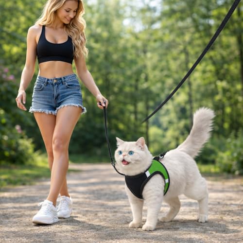 Image of Berlin's Cat Harness with Leash for Outdoor, Walking, Escape Proof, Air Mesh Fabric, Easy Control, Adjustable & Durable Cat Leash with Harness for Cats (Black-Parrot Green, Large)