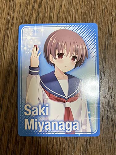 SAKI 2枚セット アルバムと特典付き 咲-Saki- 特典イラストカード2枚セット 初期レア3巻4巻特典天江衣さん