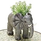 Bits and Pieces - Indoor-Outdoor Elephant Planter - Whimsical Wildlife Animal Urn for Plants - Durable Polyresin Safari Inspired Décor