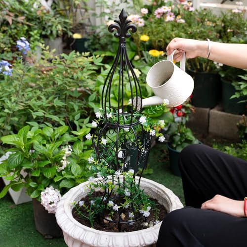GOOOXIM Metal Garden Trellis for Climbing Plants – 29.5" Durable Support by Goooxim - Used condition - Image 5