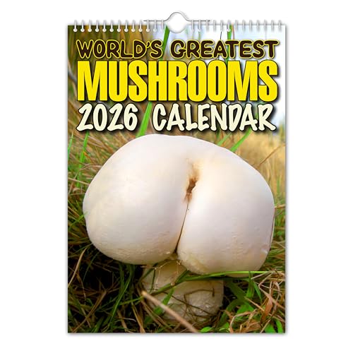 The Calendar King // World's Greatest Mushrooms - 2026 Wall Calendar - Funny/Quirky/Christmas/Birthday/Gift Idea/Present/Novelty/Humour/Secret Santa/Year Planner (Full Colour, A3 Size)