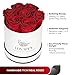LOVAPPY Preserved Real Roses in a Box Roses That Last Up to 3 Years, Long Lasting Roses Gifts for Her, Valentines Day Gifts for Her (7 Red-white)