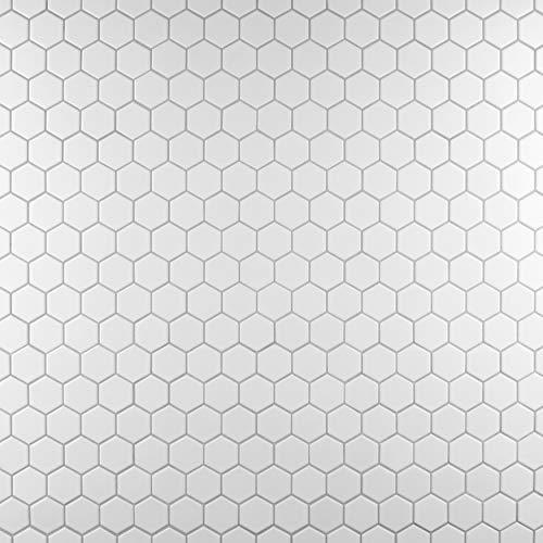 Daltile Hexagon White Porcelain Mosaic Tile Matte Look 1x1 Inch