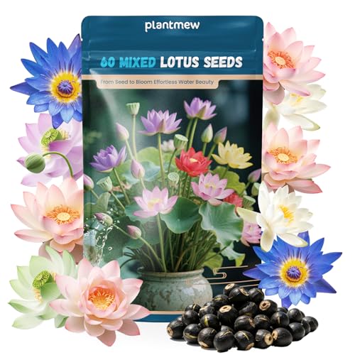 Lotus Seeds for Planting in Water | 60 PCS Mixed Color Bowl Lotus Seeds for Indoor Bonsai, Outdoor Ponds & Garden | Non-GMO Water Lily Aquatic Plant Seeds