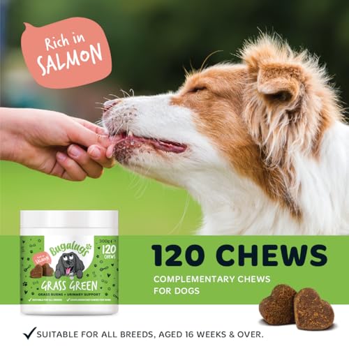 Bugalugs Grass Green Dog Supplement Chews helps support Dog Urine Neutraliser for Grass Burn with Cranberry that helps Urinary & Gut Health, Rich in Salmon, 120 Chews - 8