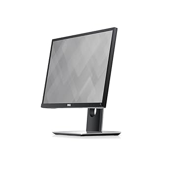 Amazon.com: Dell Professional P2217H 21.5