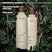 Aveda Rosemary Mint Purifying Shampoo & Conditioner Gift Set | Clarifying Shampoo and Lightweight Conditioner Set for Normal to Oily Hair | Fine to Medium Hair Types | Includes 2 Full Size Products