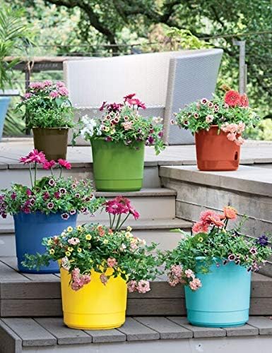 Shabby Chic Garden Paint: 8.5oz - Post Black - Chalk Based Furniture Paint for Outdoor and Exterior, No Primer Required, Matte Finish