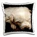 Produktbild 3dRose Iditarod Puppy, Dog Sleeping-Us02 Mwi0056-Mark Williford-Pillow Case, 40,6 x 40,6 cm (pc_87599_1)