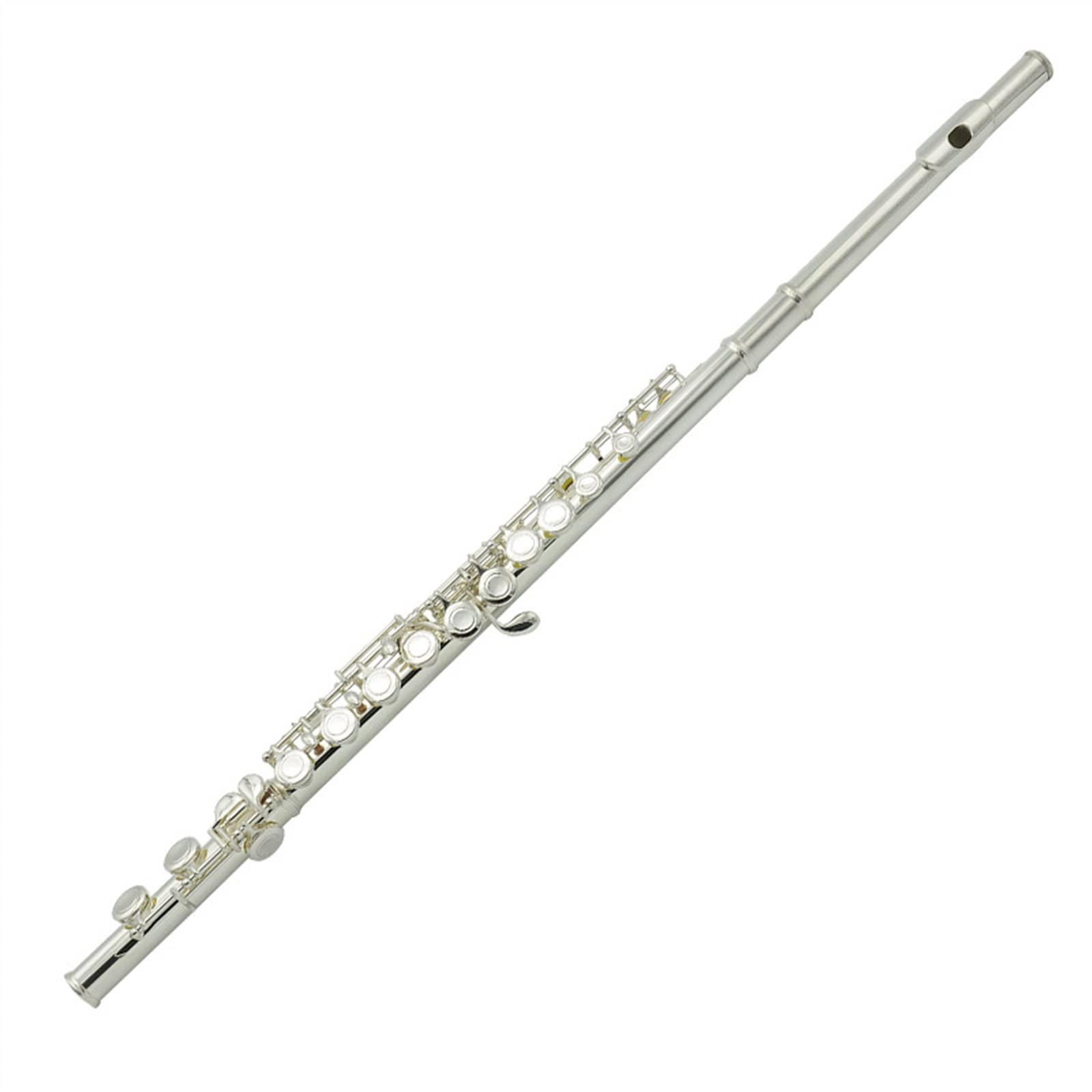 Studente Flauto Flauto Da Esame A 16 Buche Placcato Argento Flauto C-tune Strumento Musicale Flauto Principiante Studente Placcato Argento Flauto Set