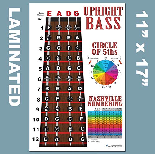 image for A New Song Music Laminated Upright Bass Fingerboard Instructional 11x1
