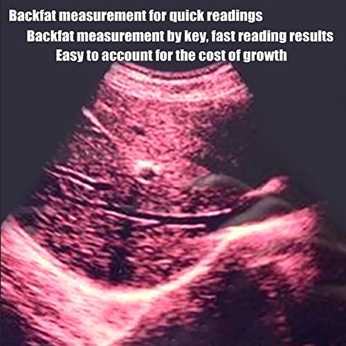 Goyojo Pregnancy Test Ultrasound Scanner Veterinary Machine Portable B-Ultra Sound Scanner Farm Animals Pregnancy Mechanical Sector Scanning Probe thumb #2