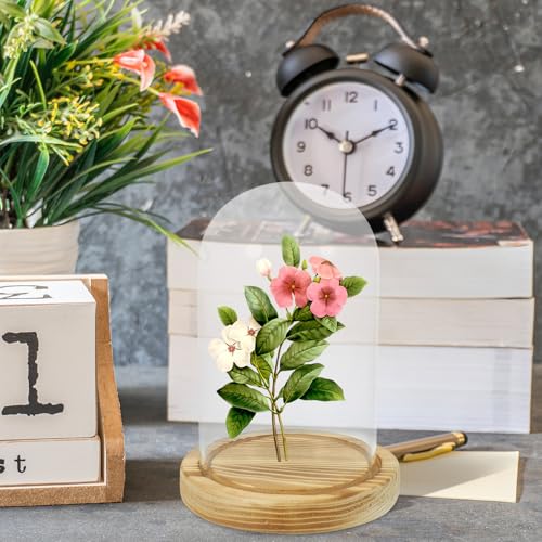 Cúpula de vidrio para flores secas y centro de mesa decorativo con base de madera 6