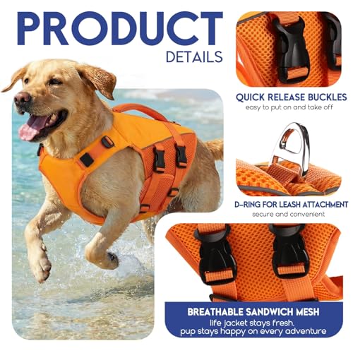 ASENKU Schwimmweste Hund für Kleine Hunde XS,Verstellbar & Ripstop Hundeschwimmweste,Rettungsweste für Hunde mit Griff und Reflektierend zum Chihuahua, Dackel, Französische Bulldogge,Labrador